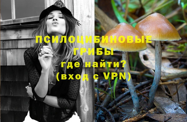 марки nbome Алзамай